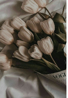 La magia de tu corazón 