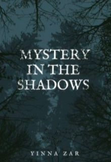 Mystery In The Shadows 