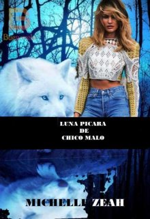 Un chico malo, el pícaro Luna