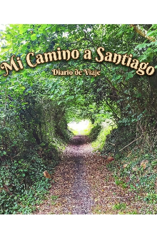 Mi Camino a Santiago 