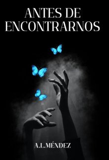 Antes de encontrarnos