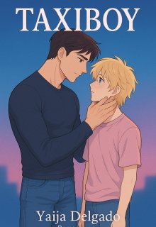 Taxiboy (romance gay)