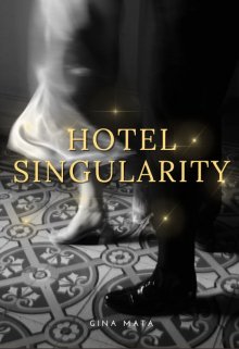 Hotel Singularity