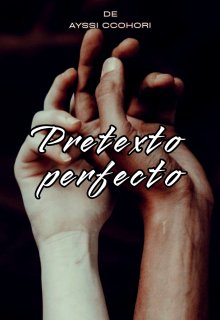 Pretexto Perfecto 