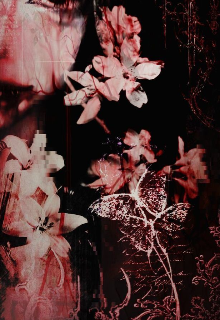 Escritos de una mujer enferma