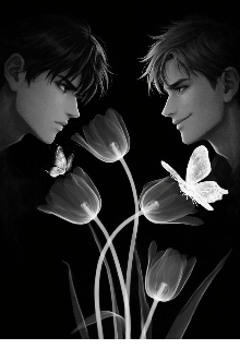 Competencia perfecta