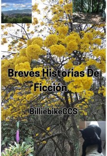 Breves Historias De Ficción 
