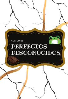 Perfectos Desconocidos 