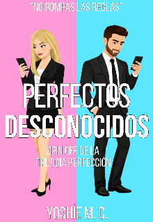 Perfectos desconocidos 