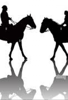 Domando Fieras (desde otra Perspectiva)