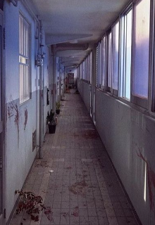 Cenizas vuelan con el viento.