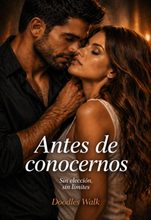 Antes de conocernos