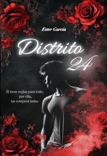 Distrito 24