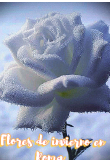 Flor de invierno en Roma 