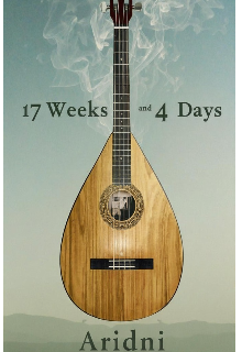 17 semanas y 4 días 