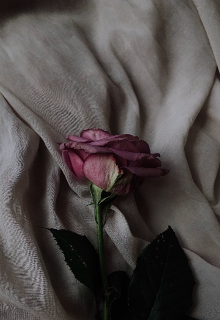Memorias de una mente sin descanso