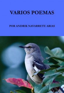Varios poemas