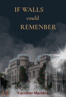 If Walls Could Remenber