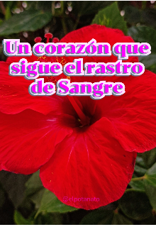 Un corazón que sigue el rastro de sangre
