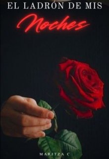 El Ladrón de mis Noches