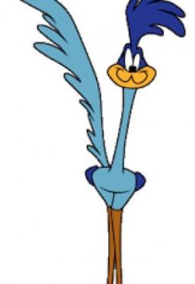 Coyote Vs. Acme La visión del  Correcaminos