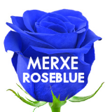 Merxe Roseblue