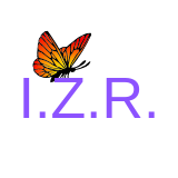 I.Z.R.