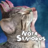 Nota Seniorus