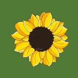SunlFlower