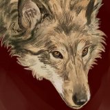 Allyswolf