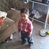 Arlette 